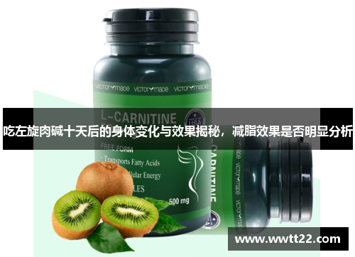 吃左旋肉碱十天后的身体变化与效果揭秘，减脂效果是否明显分析