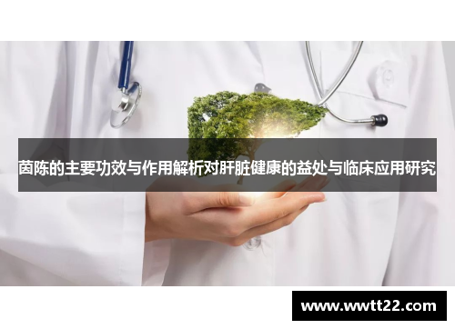 茵陈的主要功效与作用解析对肝脏健康的益处与临床应用研究